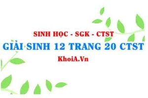 Giải Sinh 12 trang 20 Chân trời Sáng tạo